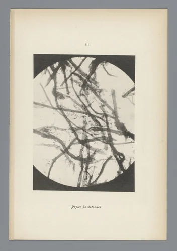 Microfoto’s van papiervezels by anonymous, photograph, 1900