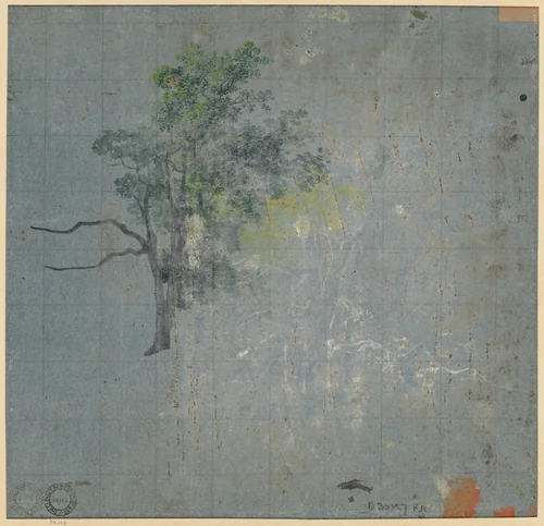 Tree Studies (verso) by Johann Jacob Dorner, drawing, 1775-1852