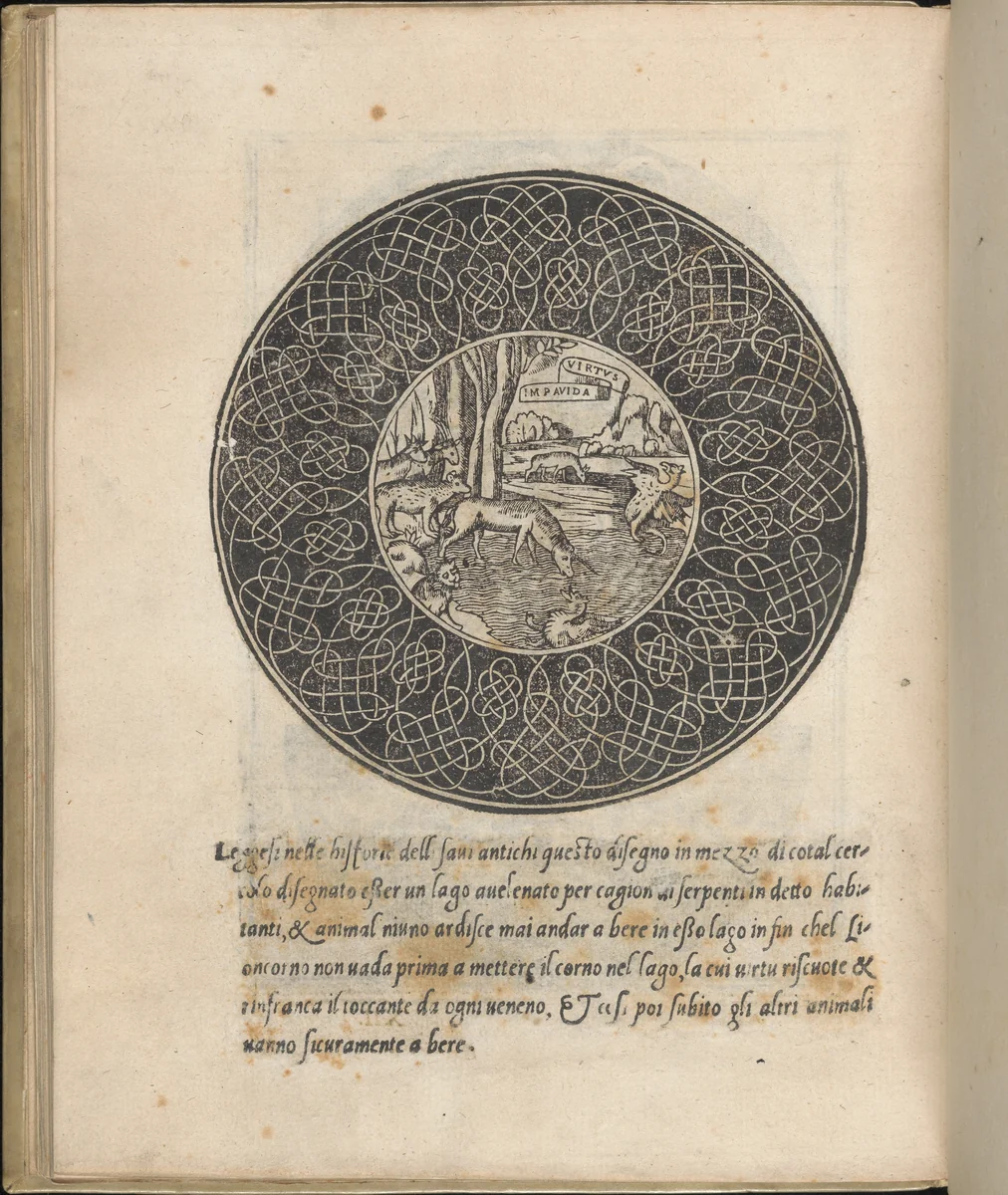 Trionfo Di Virtu. Libro Novo..., page 30 (recto) by Matteo Pagano, book, 1563