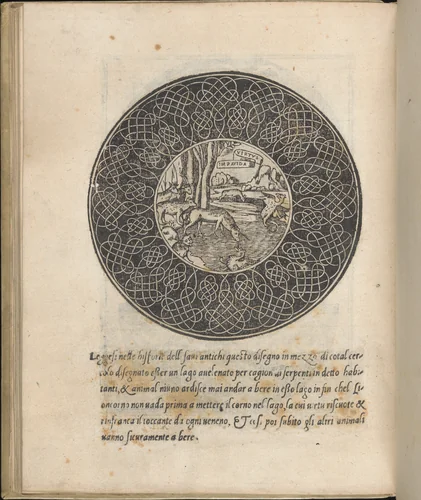 Trionfo Di Virtu. Libro Novo..., page 30 (recto) by Matteo Pagano, book, 1563