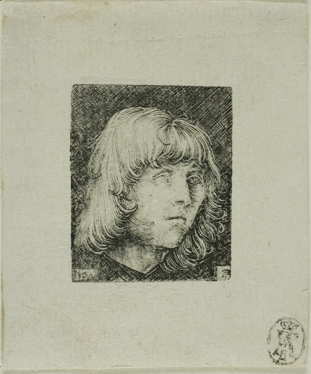 Head of a Young Man by Albrecht Altdorfer, print, 1500-1515
