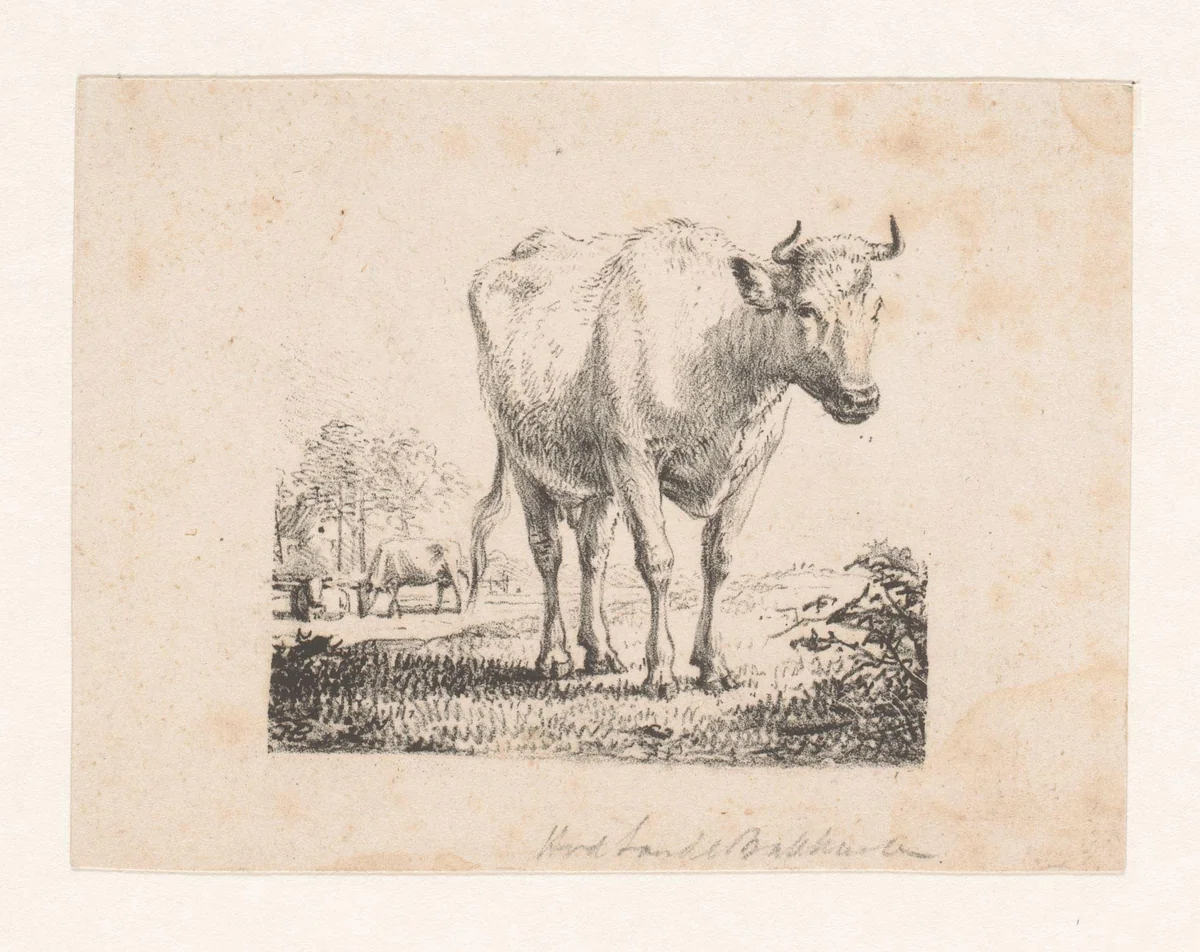 Koe in landschap by Hendrikus van de Sande Bakhuyzen, print, 1809-1860