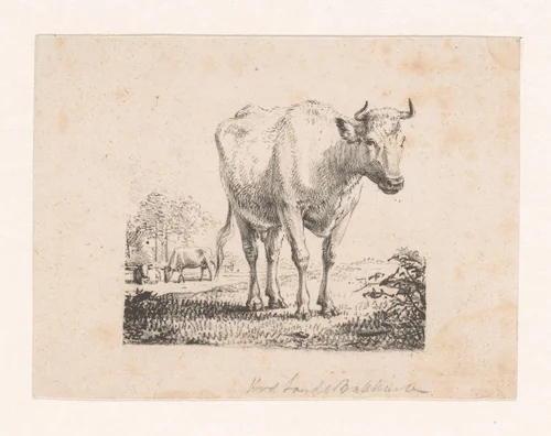 Koe in landschap by Hendrikus van de Sande Bakhuyzen, print, 1809-1860