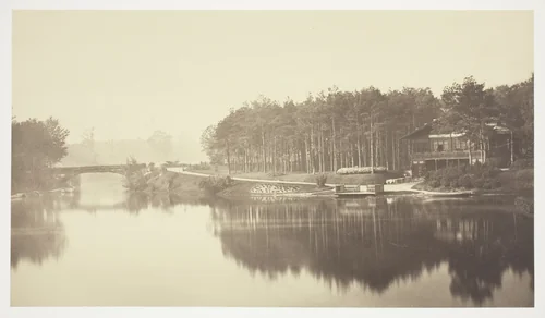 Untitled, from the series "Bois de Boulogne" by Charles Marville, photograph, 1845-1855