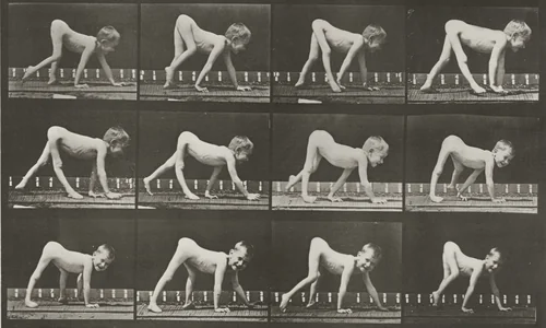 Plate Number 539. Infantile paralysis, child walking on hands and feet by Eadweard Muybridge, photograph, 1887