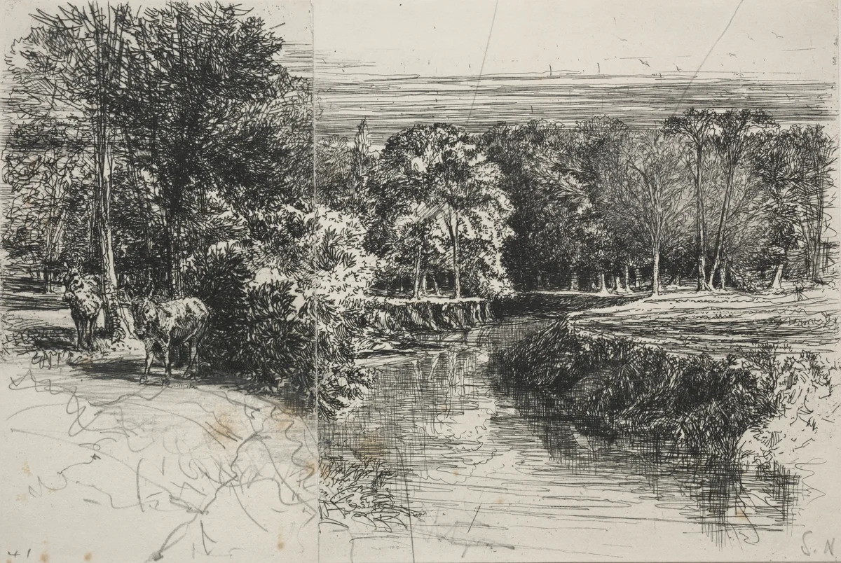 Dundrum River and the Two Asses by Francis Seymour-Haden, print, 1863