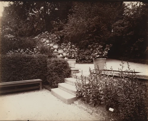 Bagatelle by Eugène Atget, photograph, 1915