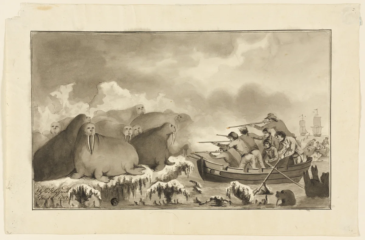 Walrus Hunt by Elizabeth Fitzgerald, drawing, 1801