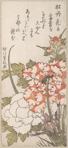 Peonies and Iris by Yanagawa Shigemasa, print, 1700-1899