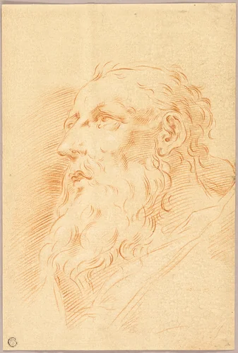 Head of Bearded Man by Pietro Antonio Novelli, drawing, 1749-1804