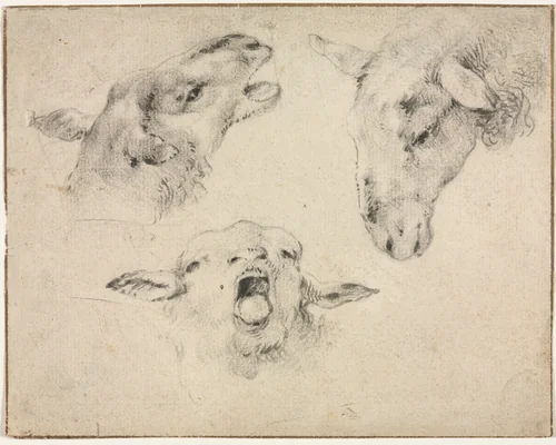Sheep Heads by Wouter Verschuur, drawing, 1850-1899