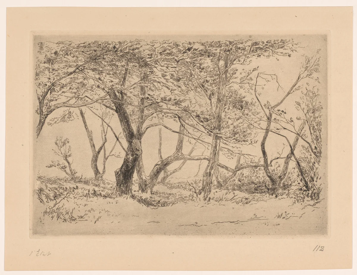 Boomgroep in de duinen bij Haarlem by Carel Nicolaas Storm van 's-Gravesande, print, 1880