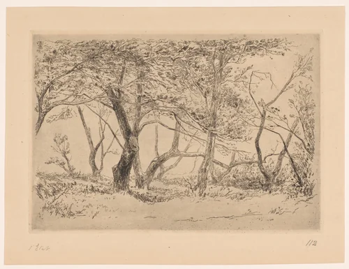 Boomgroep in de duinen bij Haarlem by Carel Nicolaas Storm van 's-Gravesande, print, 1880