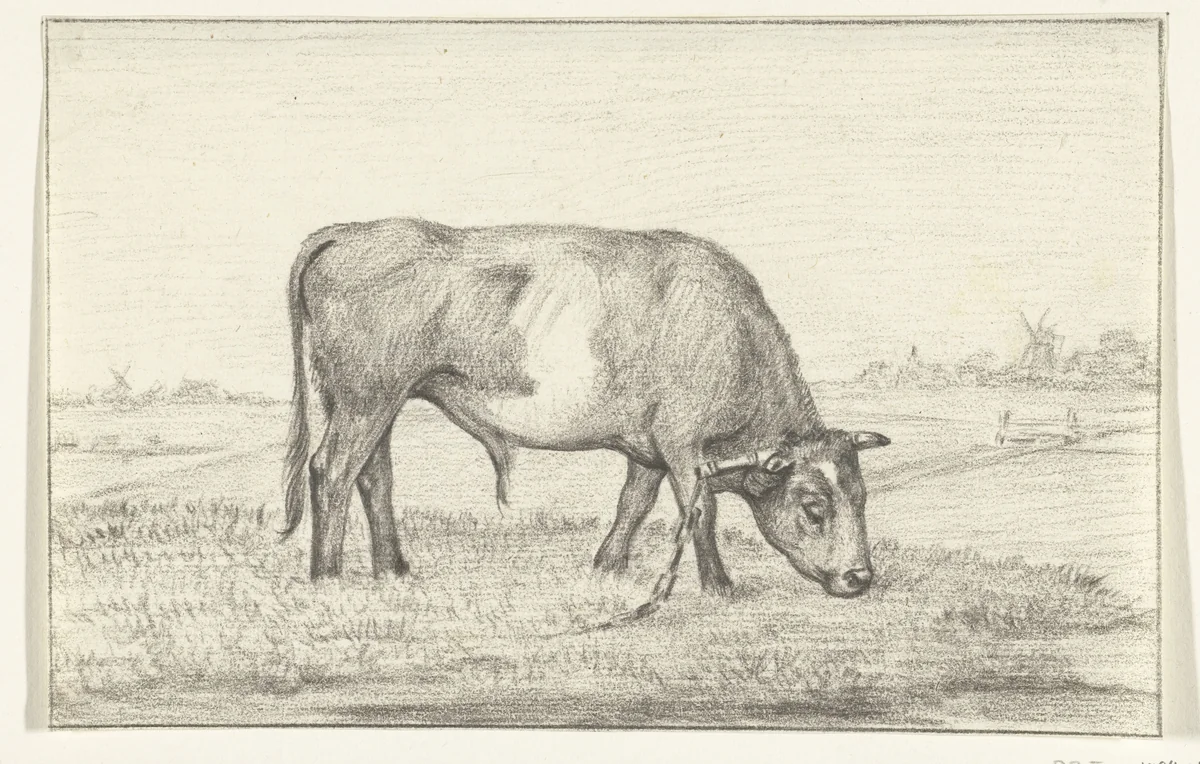 Grazende stier in een wei, naar rechts by Jean Bernard, drawing, 1775-1833