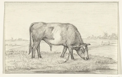Grazende stier in een wei, naar rechts by Jean Bernard, drawing, 1775-1833
