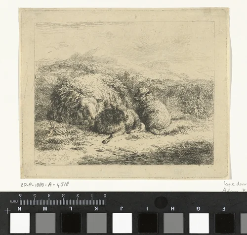 Liggend schaap met twee lammeren by Adam von Bartsch, print, 1685