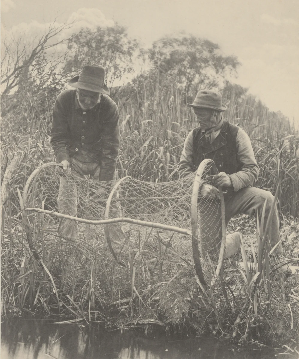 Setting Up the Bow-Net by Peter Henry Emerson, photograph, 1886