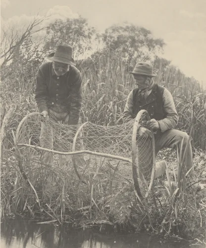 Setting Up the Bow-Net by Peter Henry Emerson, photograph, 1886