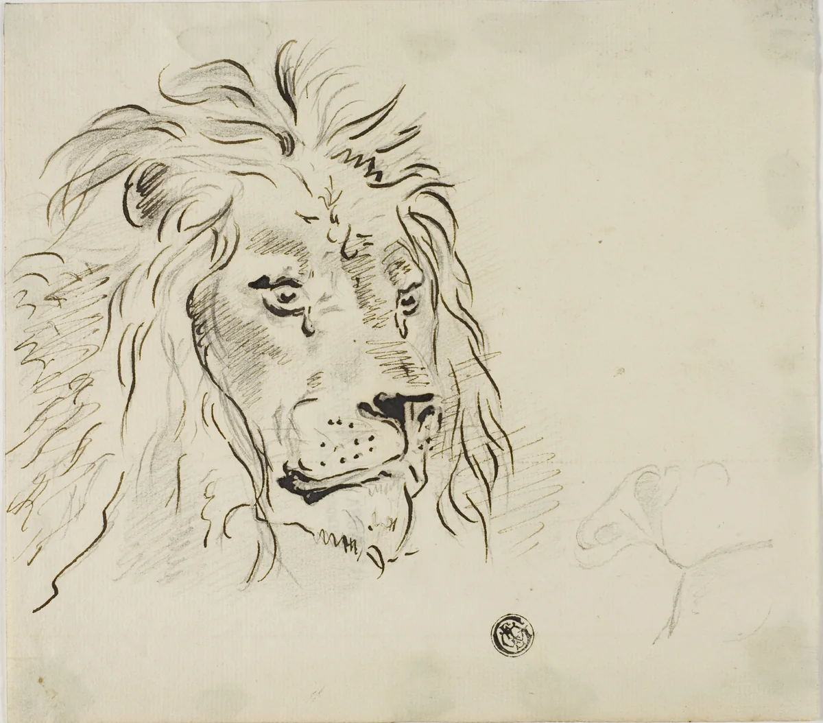 Lion's Head by Sawrey Gilpin or James Ward, drawing, 1750-1859