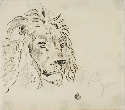 Lion's Head by Sawrey Gilpin or James Ward, drawing, 1750-1859