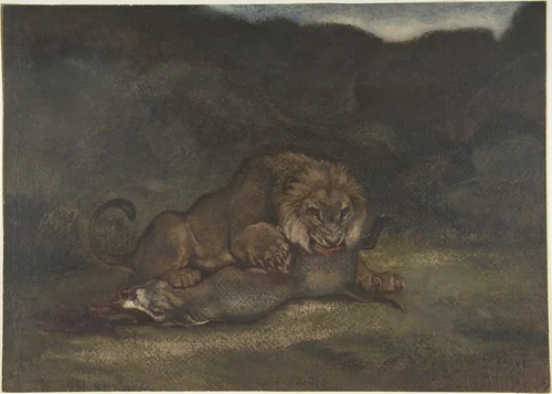 Lion Devouring Prey by Antoine-Louis Barye, drawing, 1810-1875
