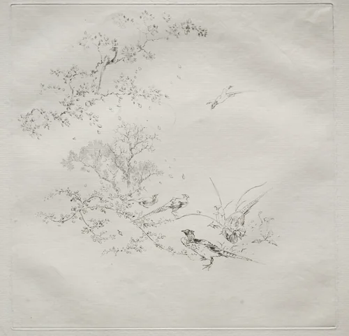 Parisian Service (Haviland service): Fog (no. 1) by Félix Bracquemond, print, 1875