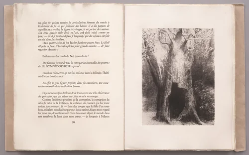 . . . I Plunged into Solitude. I Dwelt in the Tree behind Me (. . . Je me suis enfoncé dans la solitude. J'habitais l'arbre derrière moi) (plate VIII) from La Tentation de Saint-Antoine by Odilon Redon, illustrated book, 1896