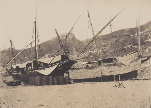 Salerne by Giacomo Caneva, photograph, 1855