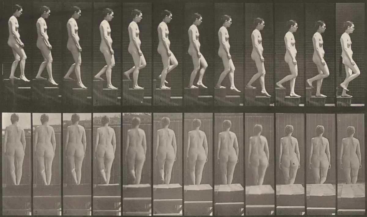 Plate Number 129. Descending stairs by Eadweard Muybridge, photograph, 1887