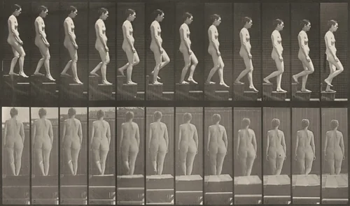 Plate Number 129. Descending stairs by Eadweard Muybridge, photograph, 1887