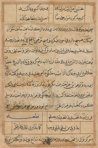 Page from Tales of a Parrot (Tuti-nama): text page by Unknown, painting, 1555-1565