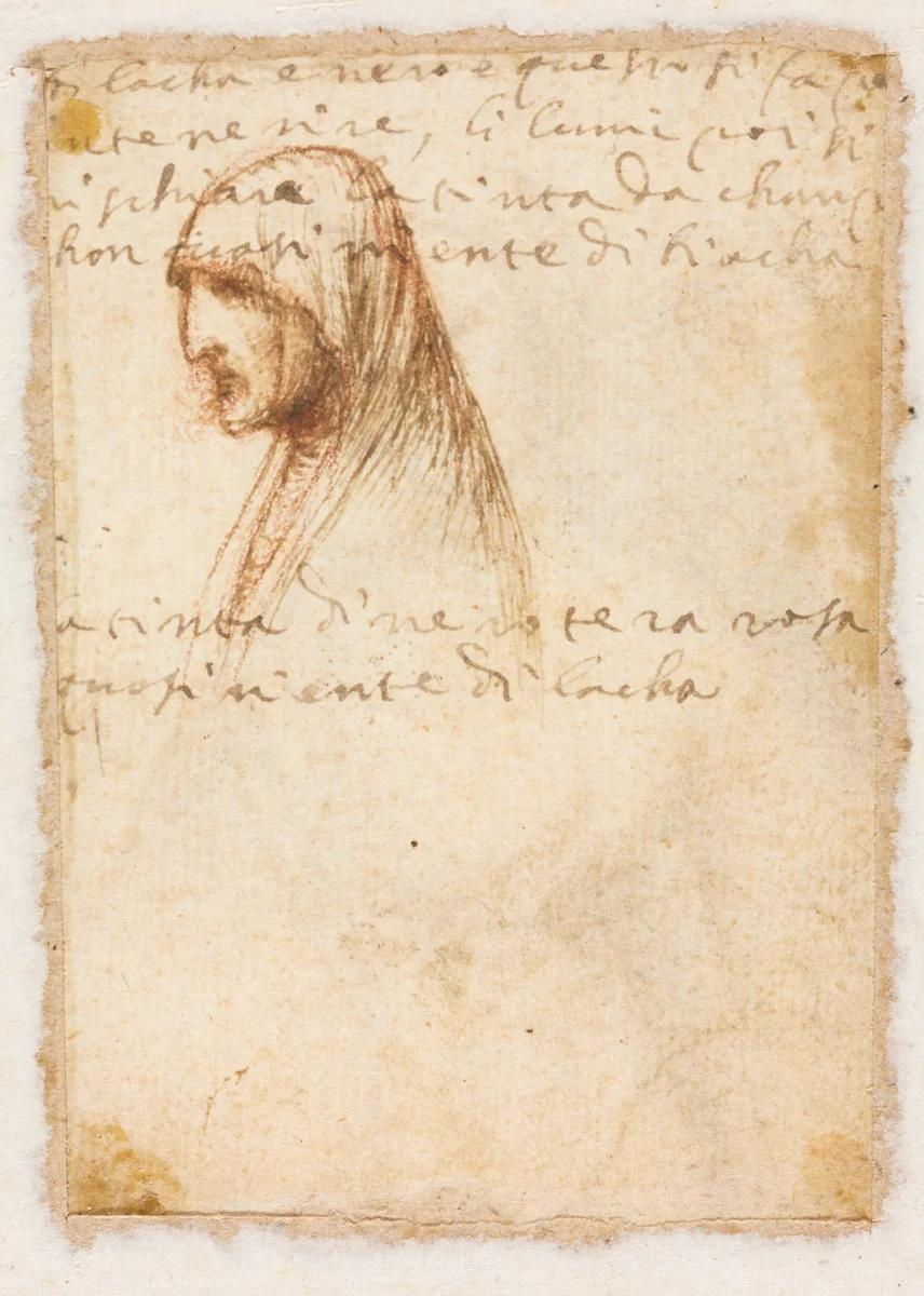 Bust-Length Profile of an Old Woman (verso) by Dosso Dossi, drawing, 1516-1526
