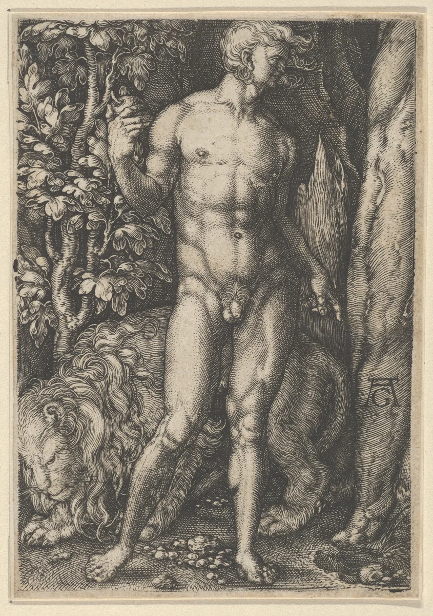 Adam with a Lion by Heinrich Aldegrever, print, 1521-1560