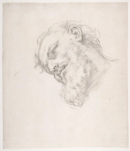 Study for a Head of a Man by Carlo Maratti, drawing, 1625-1713