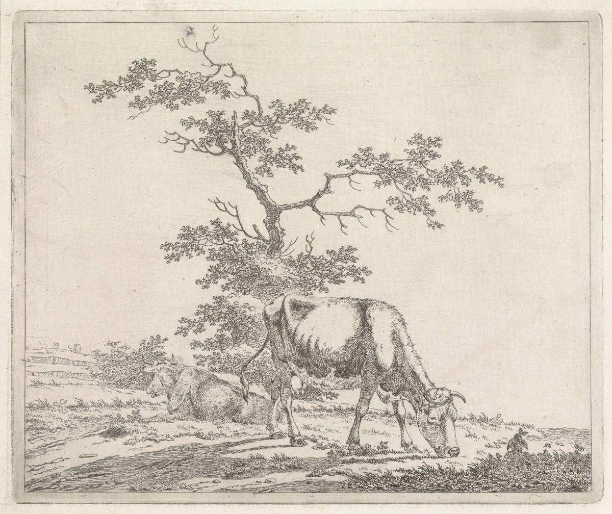 Landschap met grazende koe by Pieter Janson, print, 1780-1851