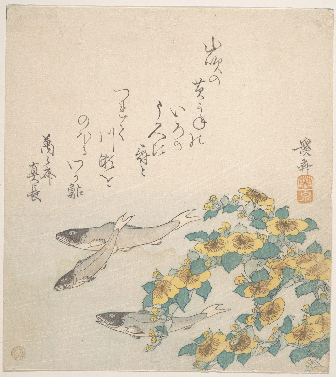 Fishes Swimming with Yellow Flowers by Keisai Eisen (渓斎英泉), print, 1820-1840