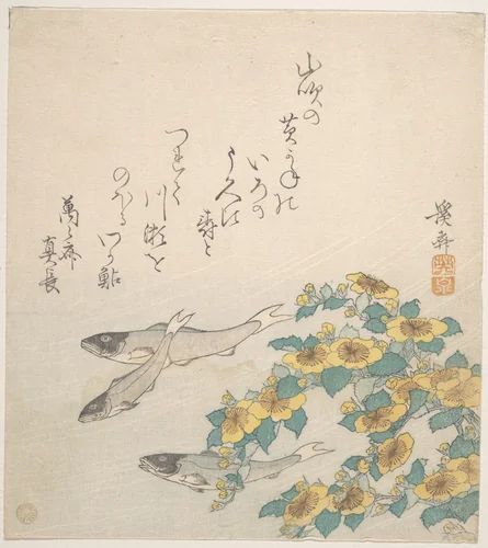 Fishes Swimming with Yellow Flowers by Keisai Eisen (渓斎英泉), print, 1820-1840