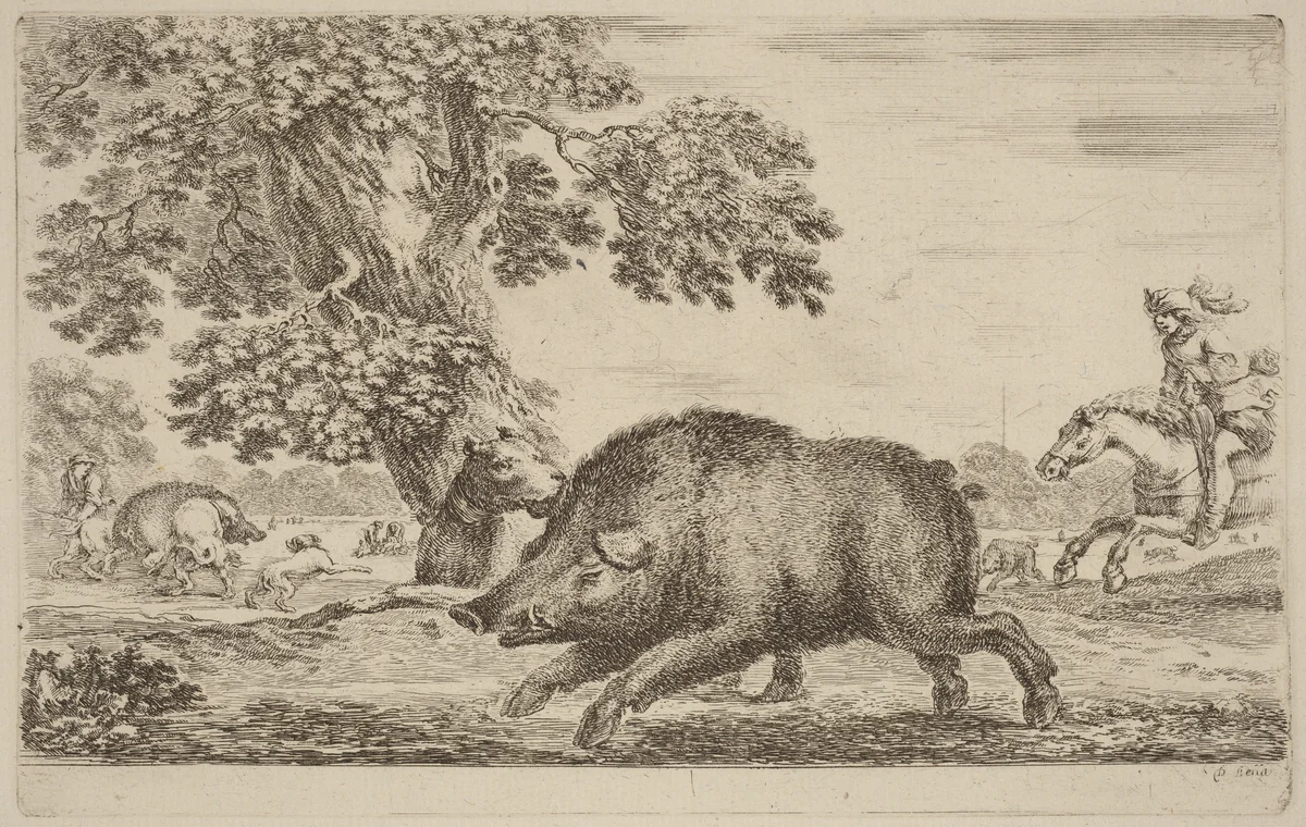Boar Running to the Left by Stefano della Bella, print, 1610-1664