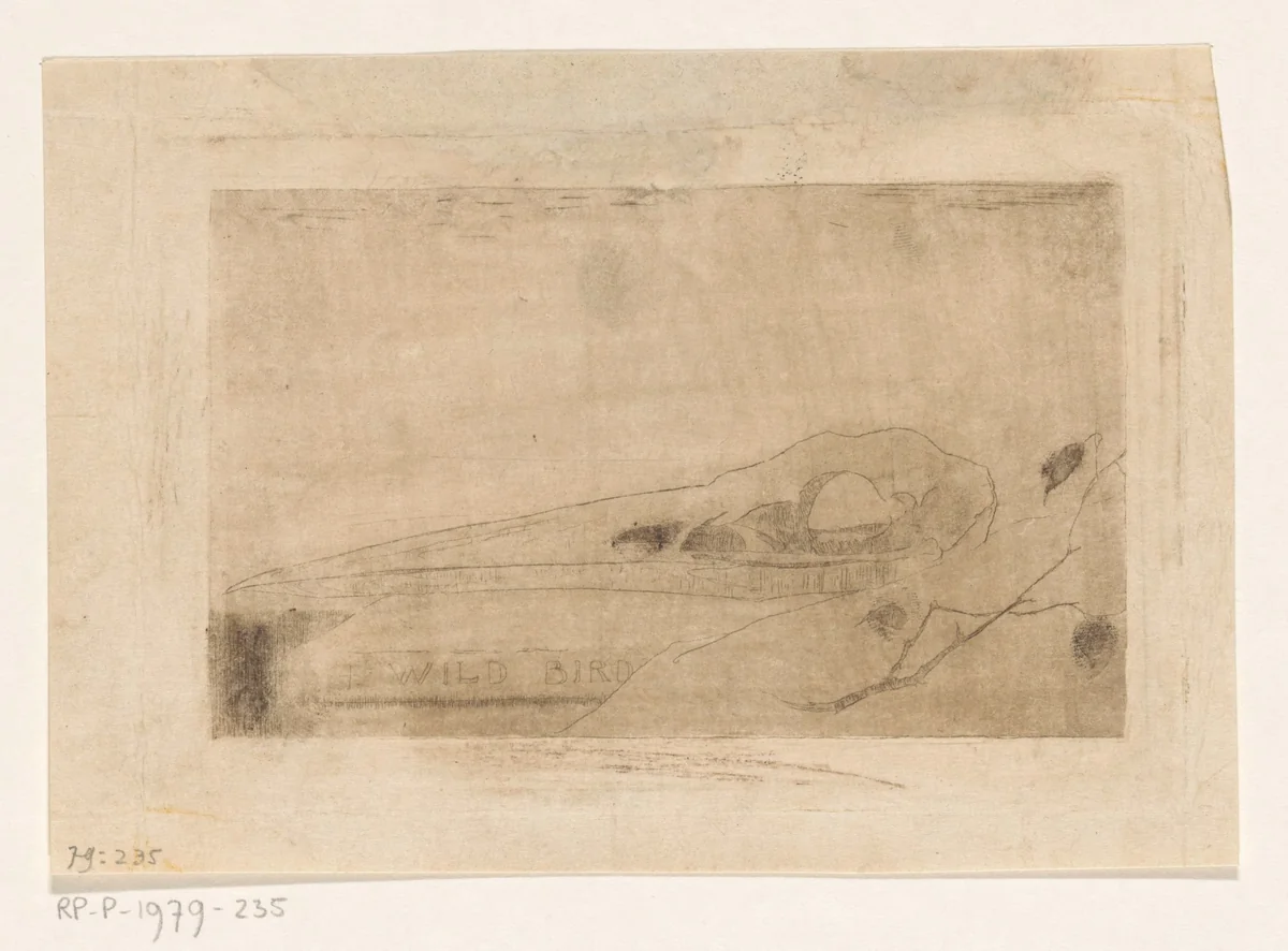 Vogelschedel by Jan Mankes, print, 1912