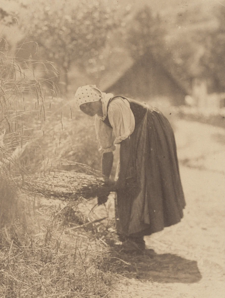 Harvesting by Alfred Stieglitz, photograph, 1894