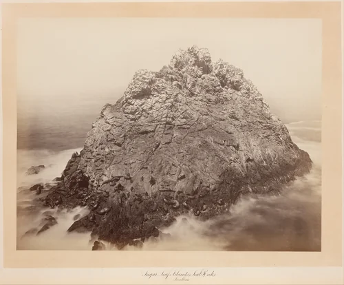 Sugar Loaf Islands, Farallons by Carleton E. Watkins, photograph, 1868-1869