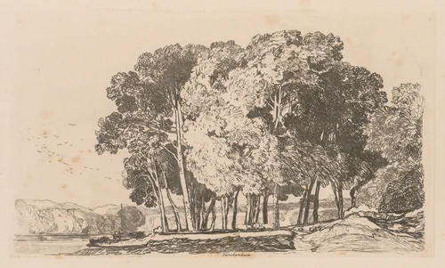 Liber Studiorum: Plate 3, Trees near Twickenham by John Sell Cotman, book, 1838