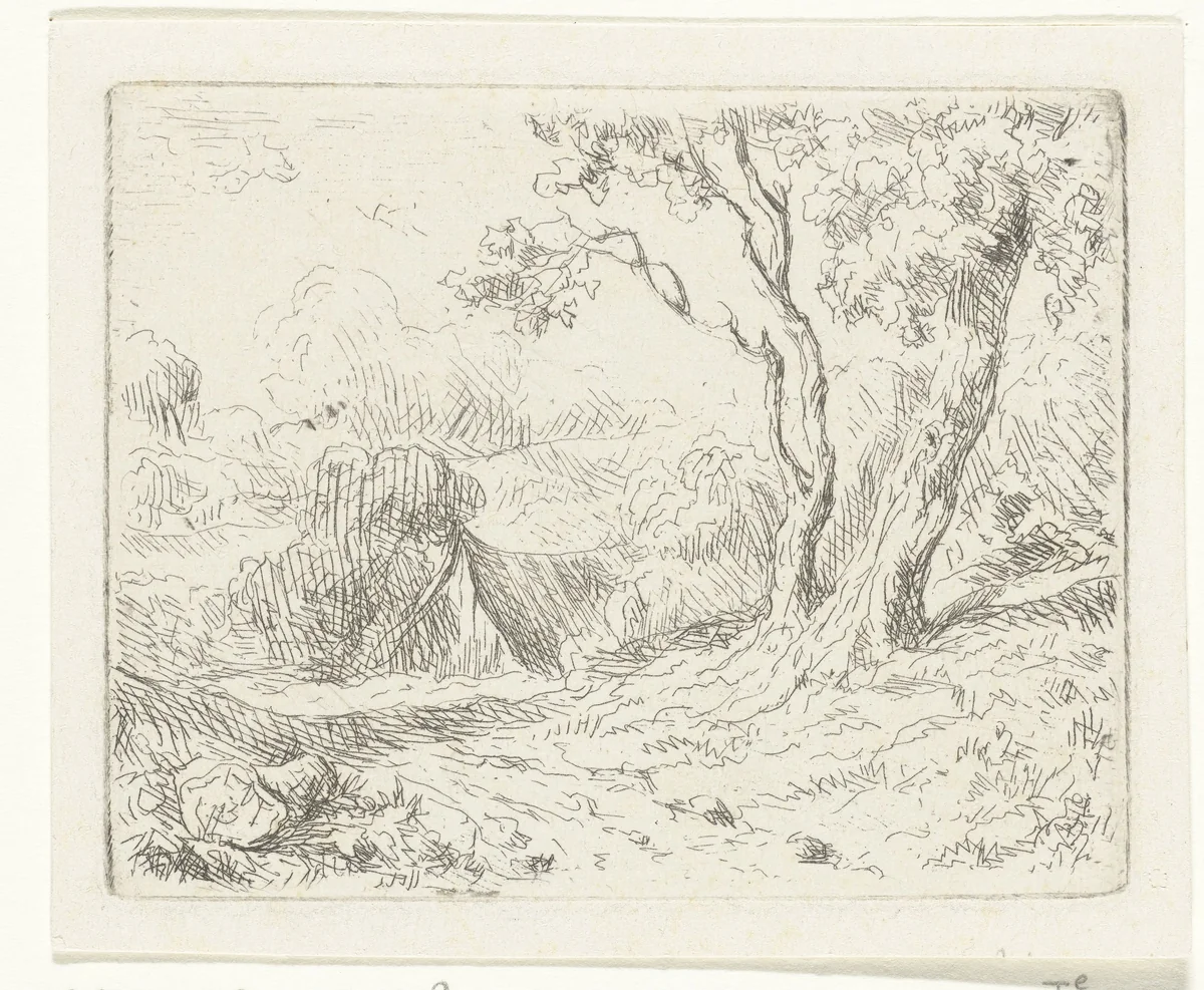 Landschap met twee bomen langs een pad by Adrianus van Everdingen, print, 1842-1912