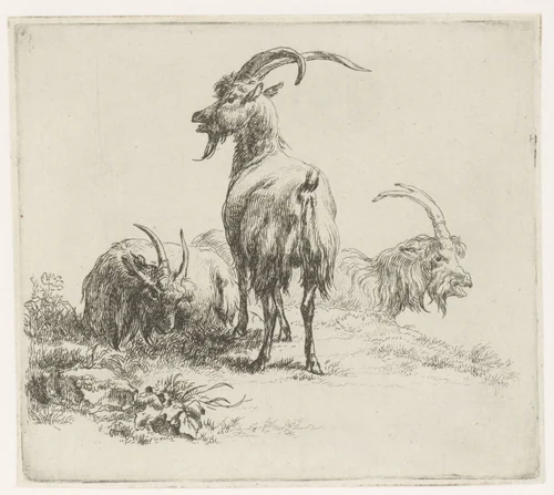 Drie bokken by Nicolaes Pietersz Berchem, print, 1648-1652