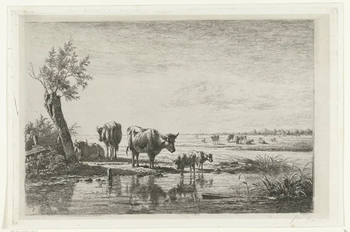 Weidelandschap met koeien bij water by Simon van den Berg, print, 1822-1891