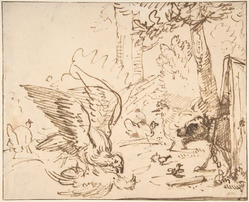 Barnyard Scene: two birds fighting (recto) Studies of Birds(verso) by Anthonie van Borssom, drawing, 1640-1677