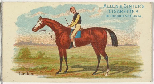 Linden, from The World's Racers series (N32) for Allen & Ginter Cigarettes by Allen & Ginter, print, 1888