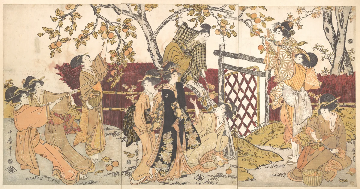 Picking Persimmons (Kaki-mogi) by Kitagawa Utamaro (喜多川歌麿), print, 1792-1804