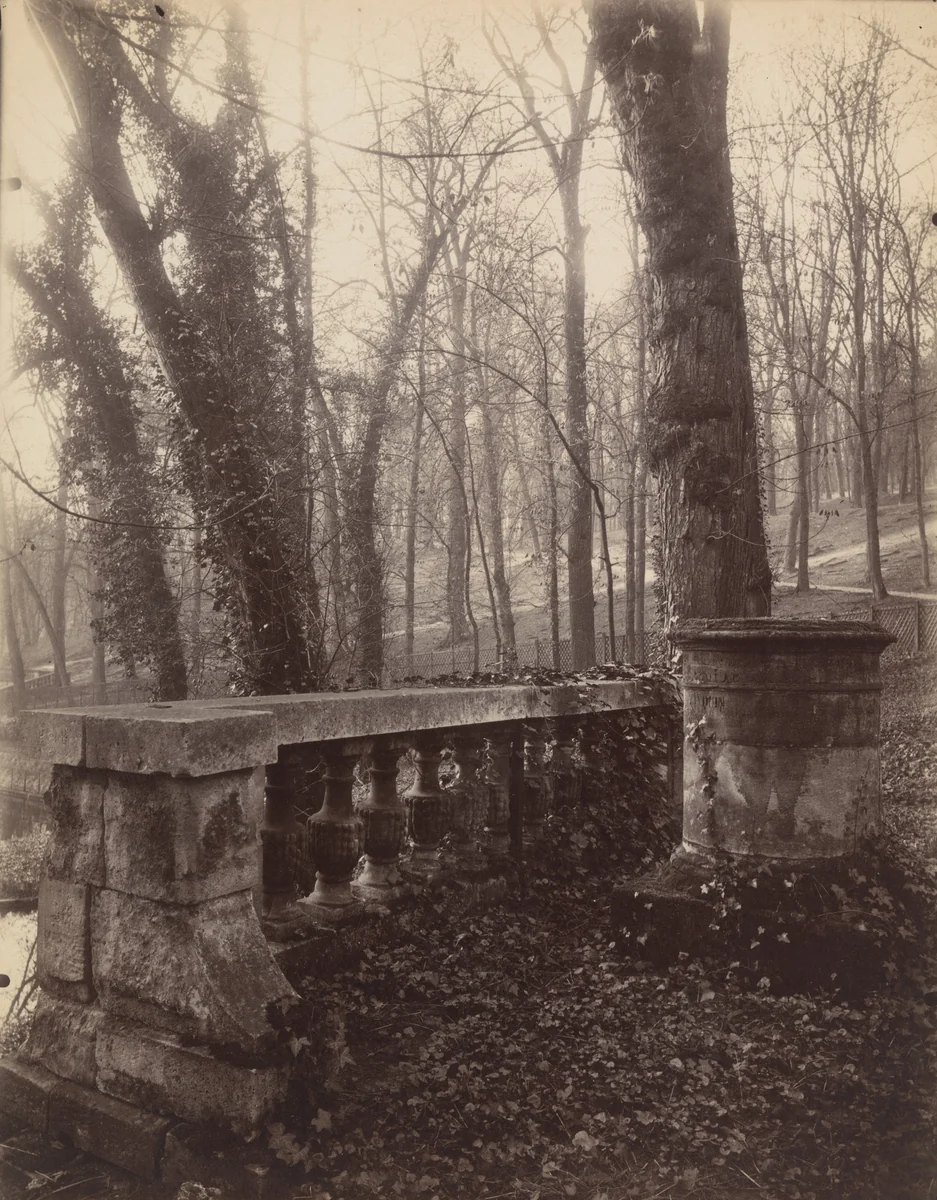 Saint-Cloud by Eugène Atget, photograph, 1924