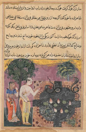 The prince, having deprived the snake of its natural food, a frog, feeds it with a piece of his own flesh, from a Tuti-nama (Tales of a Parrot): Eighteenth Night by Unknown, painting, 1555-1565